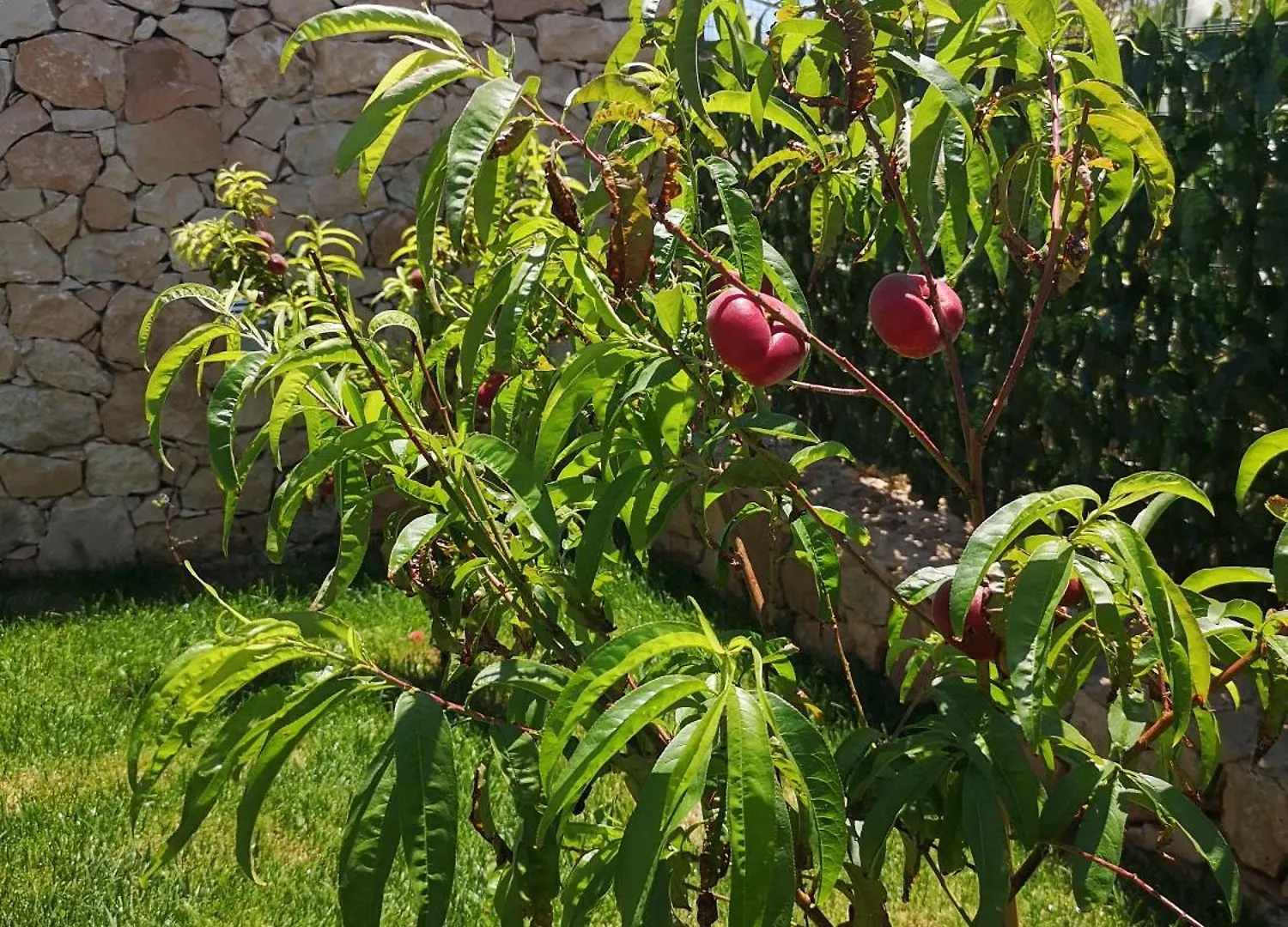 Bed & Breakfast Villa Azzurra Lampedusa Italy