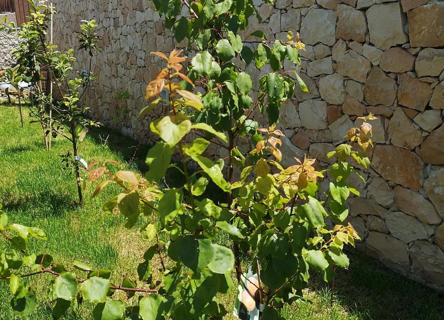 Bed & Breakfast Villa Azzurra Lampedusa